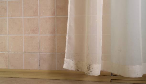 Best Indoor Air Quality Assessment  in West Monroe, MI
