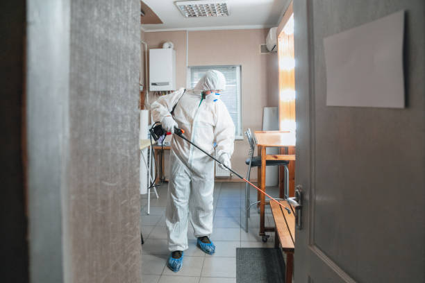 Best Post-Remediation Verification Testing  in West Monroe, MI