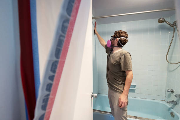 Best Water Damage & Mold Remediation  in West Monroe, MI