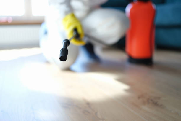 Reliable West Monroe, MI Mold Removal Solutions