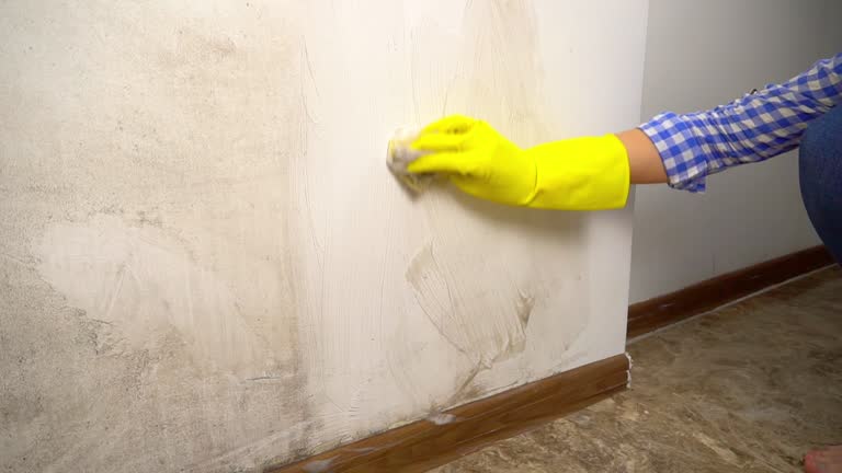Best Forensic Mold Investigation  in West Monroe, MI