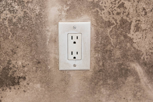 Best Environmental Consulting for Mold Prevention  in West Monroe, MI