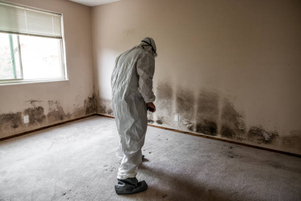 Best Air Quality Testing for Mold Spores  in West Monroe, MI